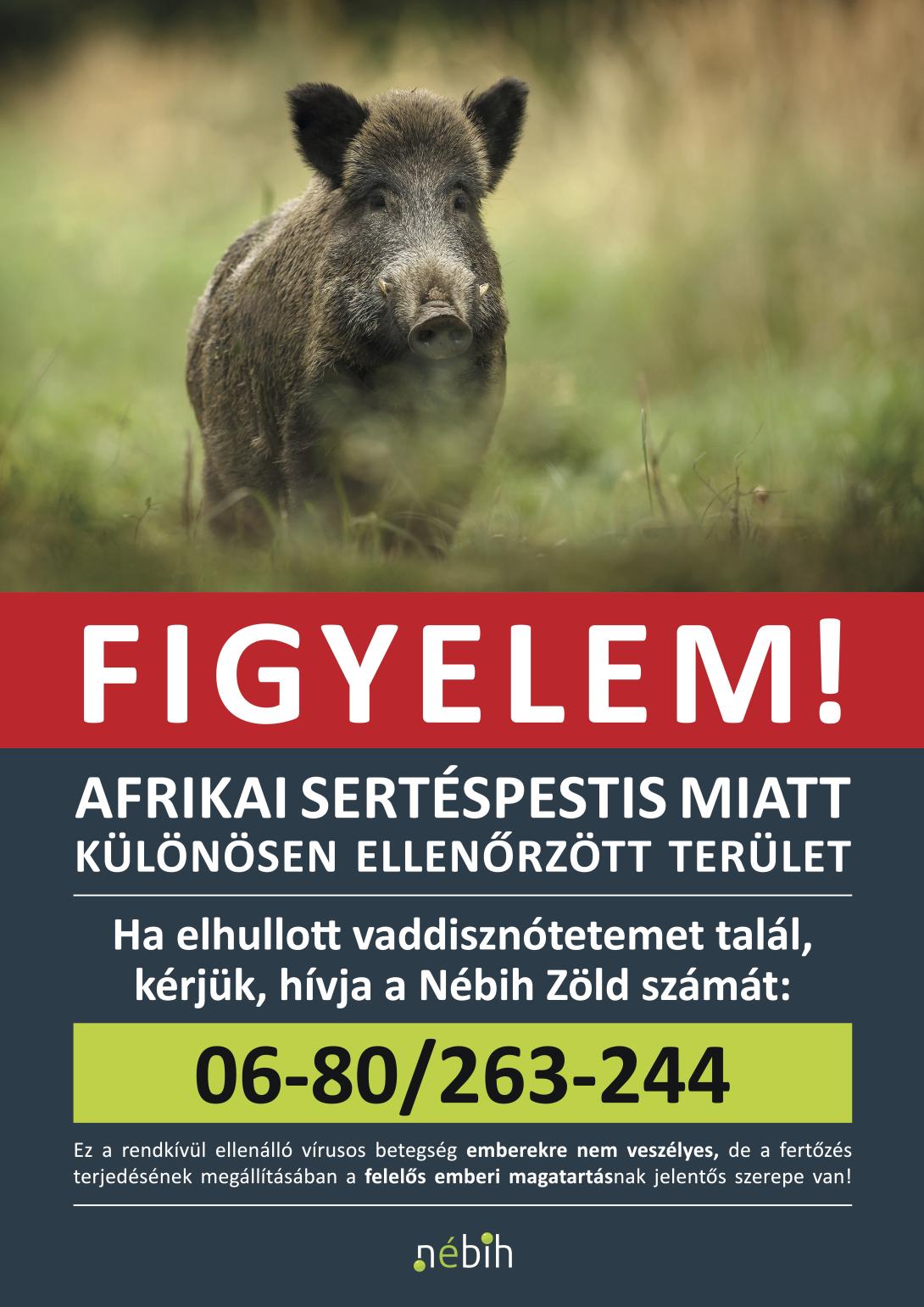 sertespestis-plakat