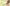 19_marcius_15_plakat_kicsi.jpg