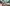 stip_a_popup_small_2.jpg