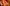 tuz.thumbnail.jpg