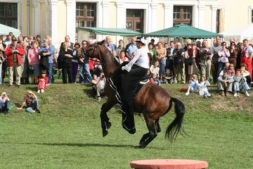 Dámalovas